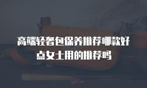高端轻奢包保养推荐哪款好点女士用的推荐吗