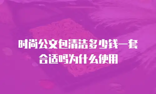 时尚公文包清洁多少钱一套合适吗为什么使用