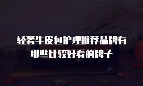 轻奢牛皮包护理推荐品牌有哪些比较好看的牌子