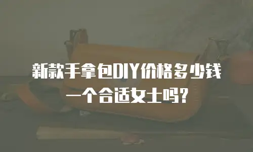 新款手拿包DIY价格多少钱一个合适女士吗？