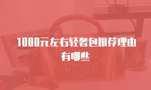 1000元左右轻奢包推荐理由有哪些