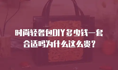 时尚轻奢包DIY多少钱一套合适吗为什么这么贵？