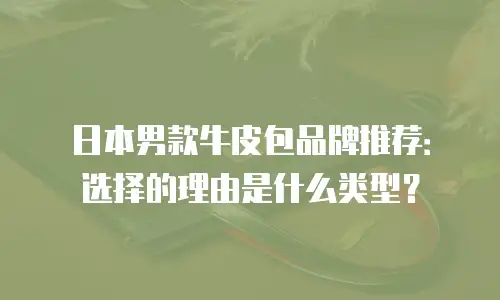 日本男款牛皮包品牌推荐：选择的理由是什么类型？