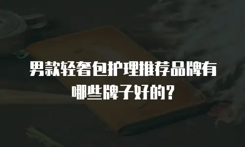 男款轻奢包护理推荐品牌有哪些牌子好的？