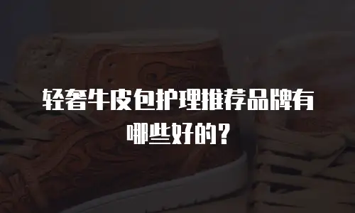轻奢牛皮包护理推荐品牌有哪些好的？