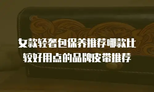 女款轻奢包保养推荐哪款比较好用点的品牌皮带推荐