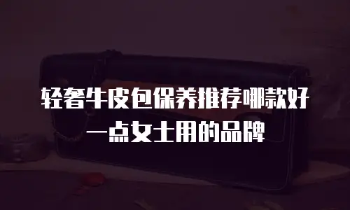 轻奢牛皮包保养推荐哪款好一点女士用的品牌
