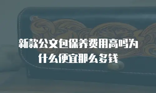 新款公文包保养费用高吗为什么便宜那么多钱