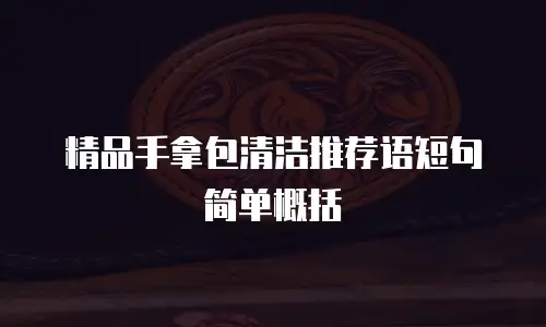 精品手拿包清洁推荐语短句简单概括