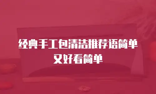经典手工包清洁推荐语简单又好看简单