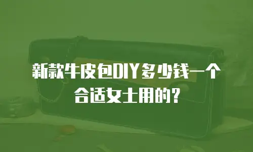 新款牛皮包DIY多少钱一个合适女士用的？