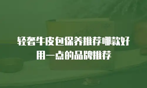 轻奢牛皮包保养推荐哪款好用一点的品牌推荐
