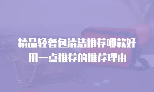 精品轻奢包清洁推荐哪款好用一点推荐的推荐理由
