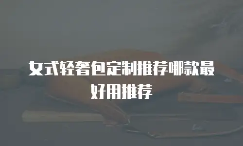 女式轻奢包定制推荐哪款最好用推荐