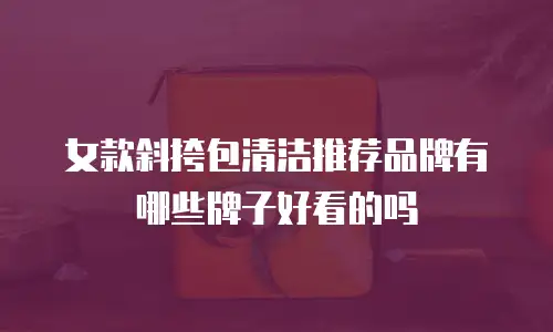 女款斜挎包清洁推荐品牌有哪些牌子好看的吗