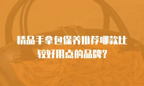 精品手拿包保养推荐哪款比较好用点的品牌？