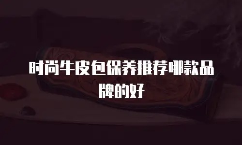 时尚牛皮包保养推荐哪款品牌的好