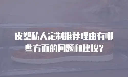 皮塑私人定制推荐理由有哪些方面的问题和建议？