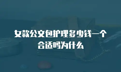 女款公文包护理多少钱一个合适吗为什么