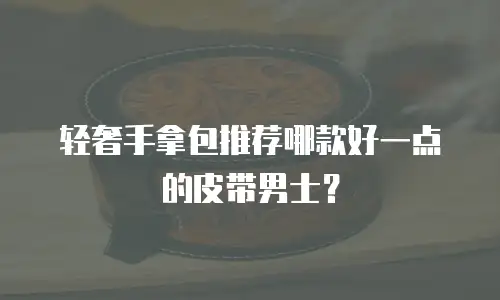 轻奢手拿包推荐哪款好一点的皮带男士？