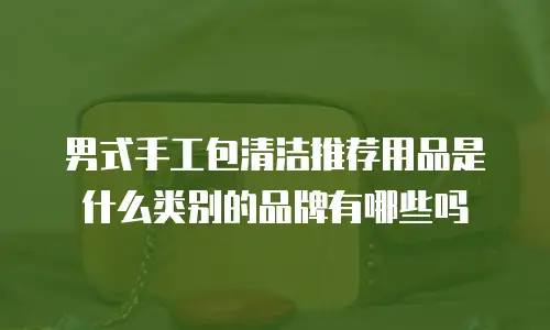 男式手工包清洁推荐用品是什么类别的品牌有哪些吗