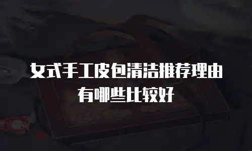 女式手工皮包清洁推荐理由有哪些比较好