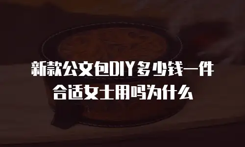 新款公文包DIY多少钱一件合适女士用吗为什么