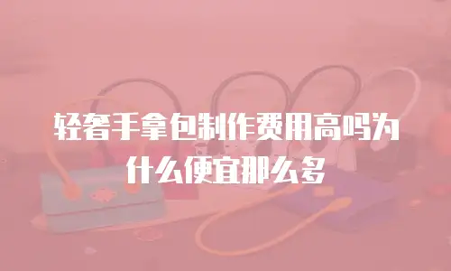 轻奢手拿包制作费用高吗为什么便宜那么多