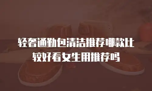 轻奢通勤包清洁推荐哪款比较好看女生用推荐吗