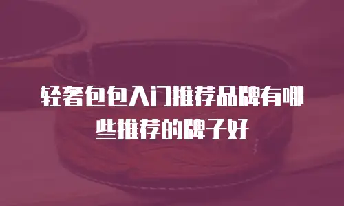 轻奢包包入门推荐品牌有哪些推荐的牌子好