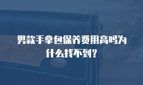 男款手拿包保养费用高吗为什么找不到？