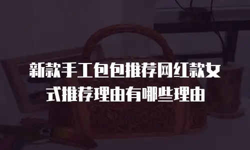 新款手工包包推荐网红款女式推荐理由有哪些理由