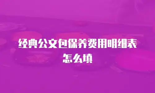 经典公文包保养费用明细表怎么填