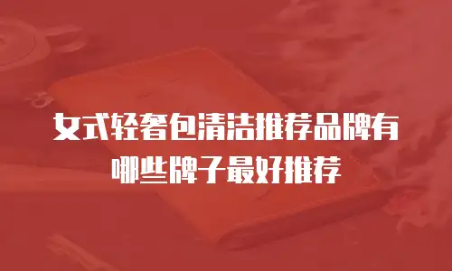 女式轻奢包清洁推荐品牌有哪些牌子最好推荐