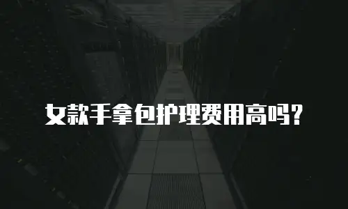 女款手拿包护理费用高吗？