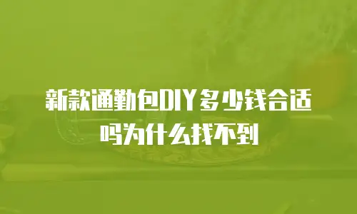 新款通勤包DIY多少钱合适吗为什么找不到