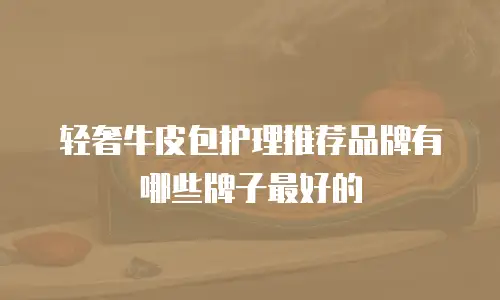 轻奢牛皮包护理推荐品牌有哪些牌子最好的
