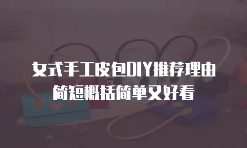 女式手工皮包DIY推荐理由简短概括简单又好看