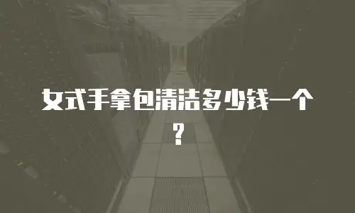 女式手拿包清洁多少钱一个?