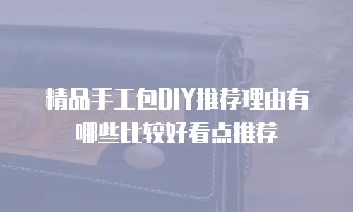 精品手工包DIY推荐理由有哪些比较好看点推荐