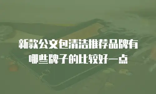 新款公文包清洁推荐品牌有哪些牌子的比较好一点