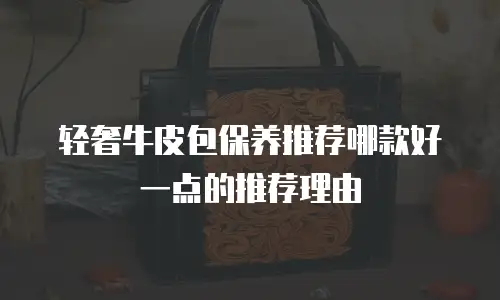 轻奢牛皮包保养推荐哪款好一点的推荐理由
