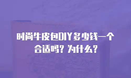 时尚牛皮包DIY多少钱一个合适吗？为什么？