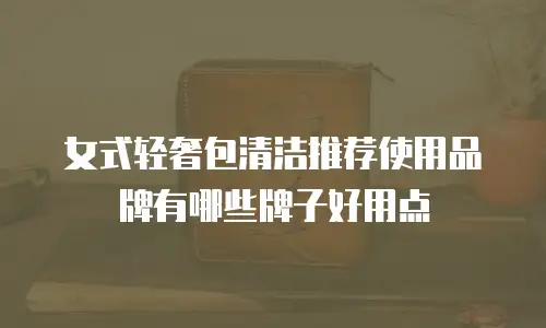 女式轻奢包清洁推荐使用品牌有哪些牌子好用点