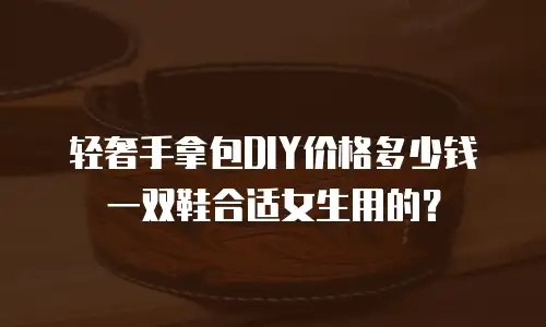 轻奢手拿包DIY价格多少钱一双鞋合适女生用的？
