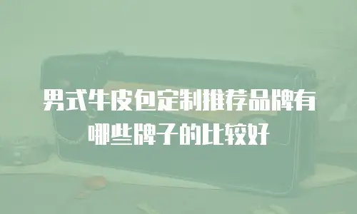 男式牛皮包定制推荐品牌有哪些牌子的比较好