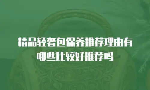 精品轻奢包保养推荐理由有哪些比较好推荐吗