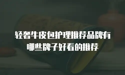 轻奢牛皮包护理推荐品牌有哪些牌子好看的推荐