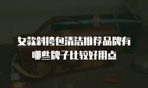 女款斜挎包清洁推荐品牌有哪些牌子比较好用点