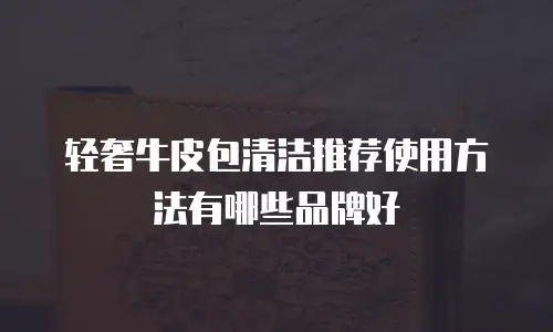 轻奢牛皮包清洁推荐使用方法有哪些品牌好